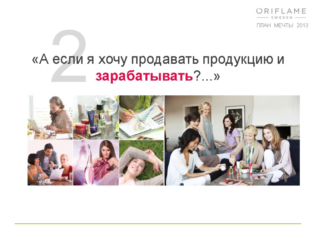 2 «А если я хочу продавать продукцию и зарабатывать?...» ПЛАН МЕЧТЫ 2013